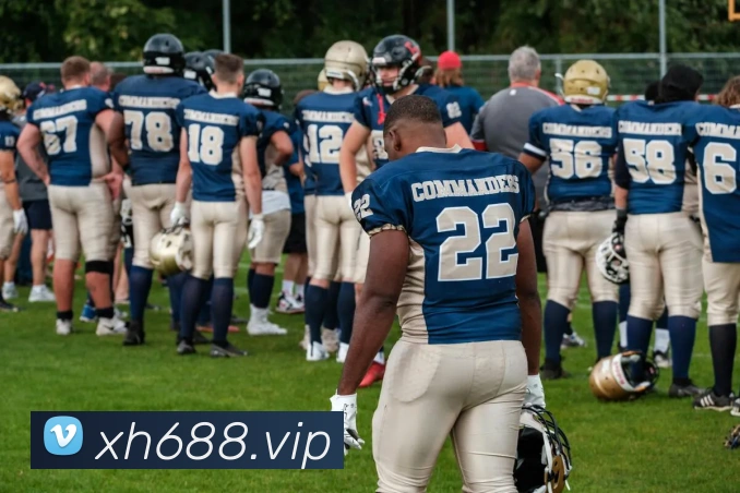 未来规划